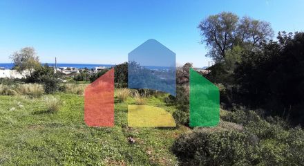 Продажа - Земельный участок 24000 m² на Крите