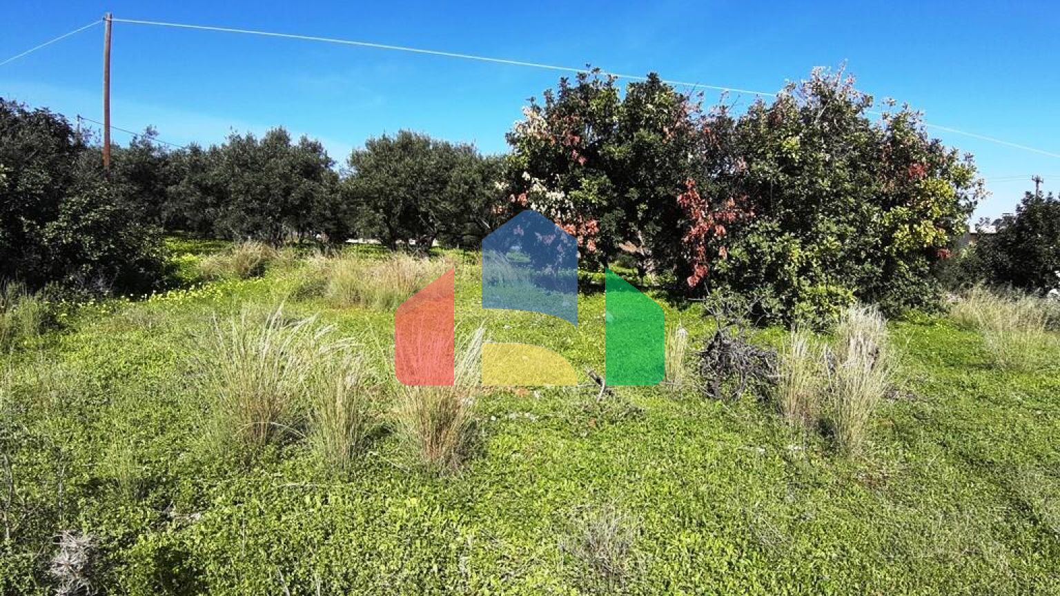 Продажа - Земельный участок 24000 m² на Крите