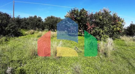 Продажа - Земельный участок 24000 m² на Крите