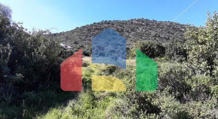 Продажа - Земельный участок 24000 m² на Крите