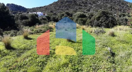 Продажа - Земельный участок 24000 m² на Крите