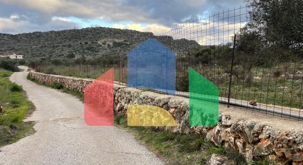 Продажа - Земельный участок 5000 m² на Крите