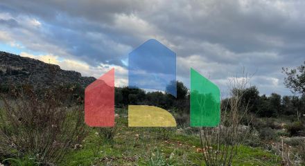 Продажа - Земельный участок 5000 m² на Крите