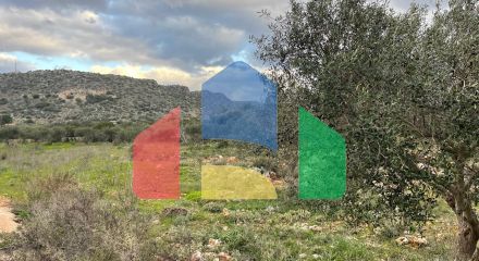 Продажа - Земельный участок 5000 m² на Крите