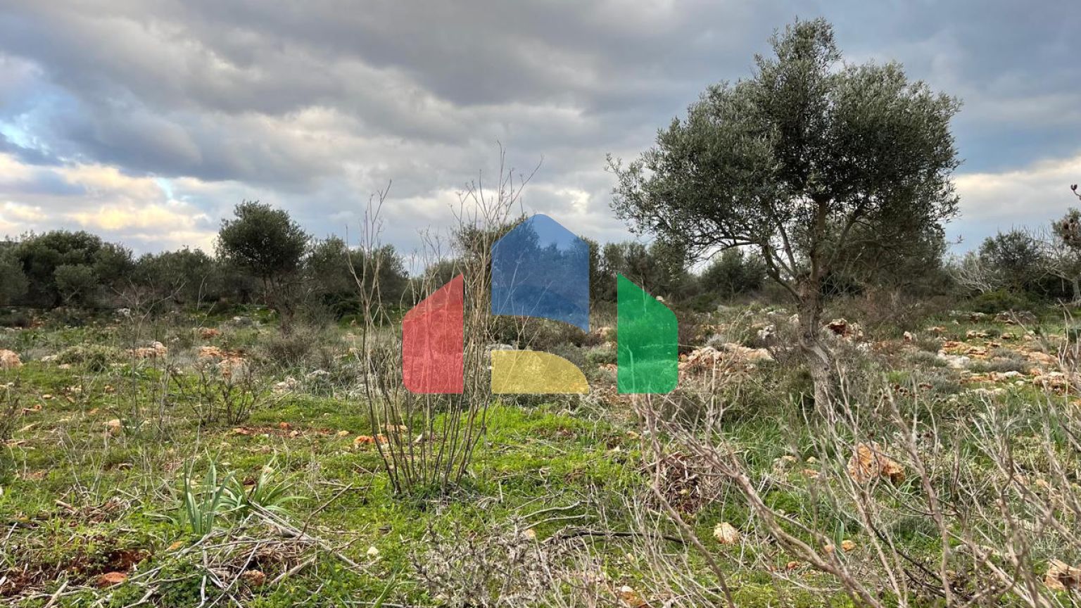 Продажа - Земельный участок 5000 m² на Крите