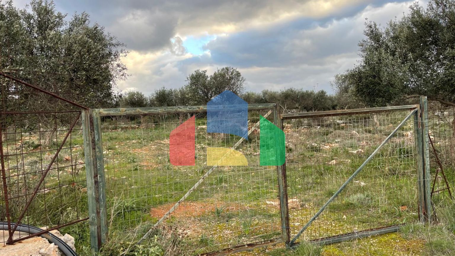 Продажа - Земельный участок 5000 m² на Крите