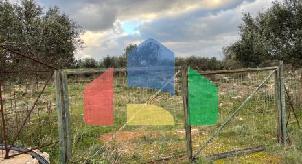 Продажа - Земельный участок 5000 m² на Крите