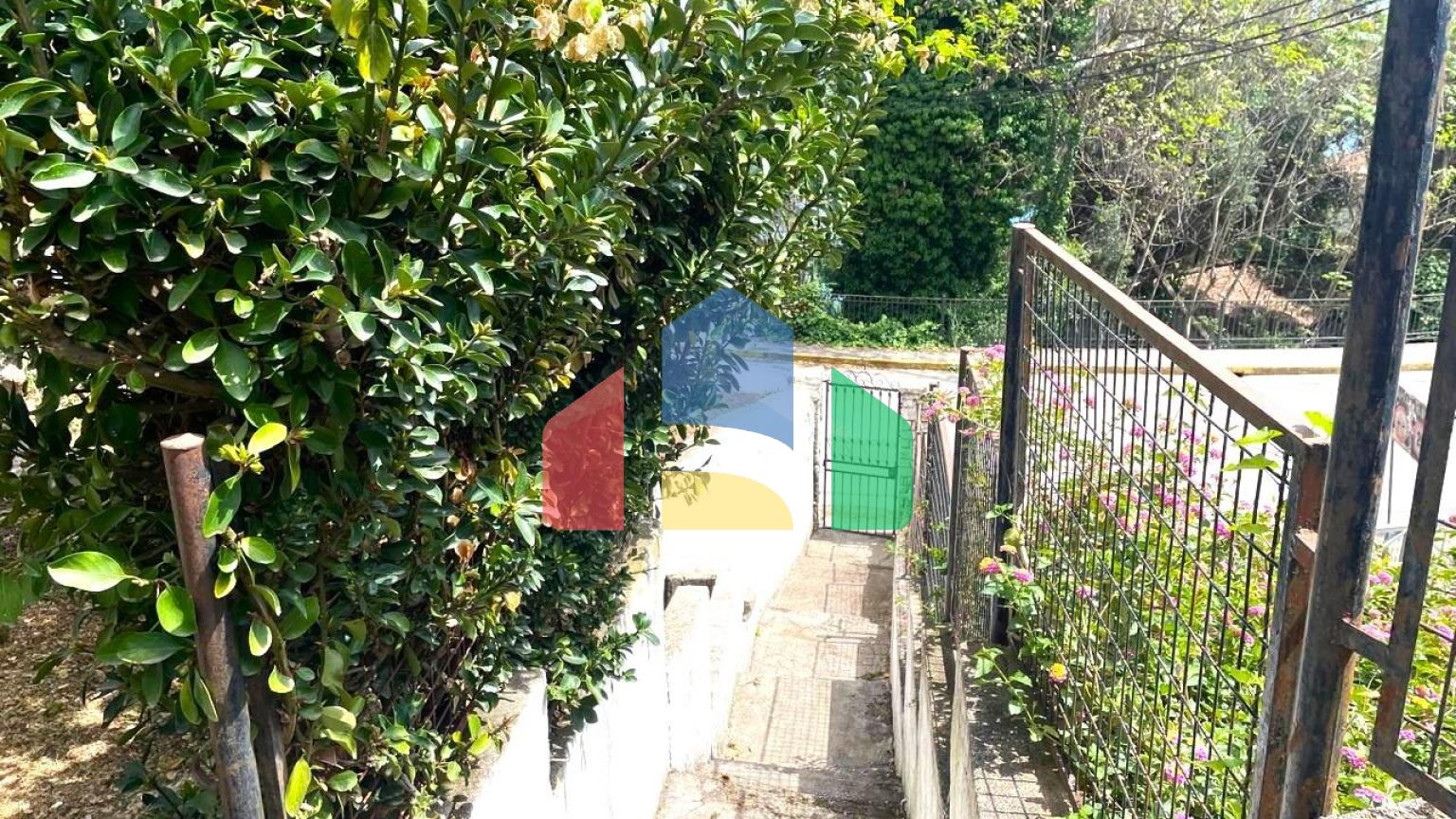 Продаж - Котедж 318 m² на о. Корфу