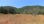 For Sale - Land 7000 m² in Corfu