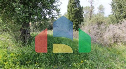 For Sale - Land 2500 m² in Corfu