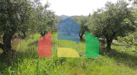 For Sale - Land 2500 m² in Corfu