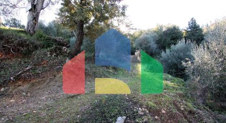 Продажа - Земельный участок 4000 m² на о. Корфу