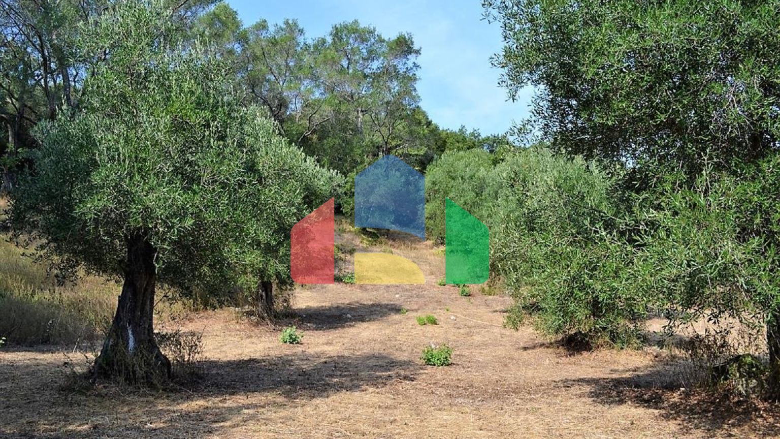 Продажа - Земельный участок 30000 m² на о. Корфу