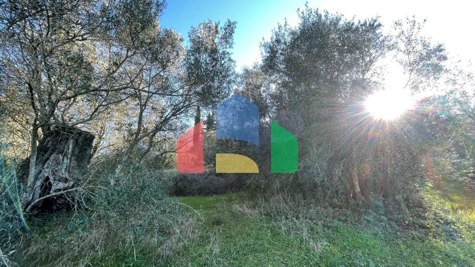 Продажа - Земельный участок 14529 m² на о. Корфу