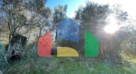 Продажа - Земельный участок 14529 m² на о. Корфу Продажа - Земельный участок 14529 m² на о. Корфу