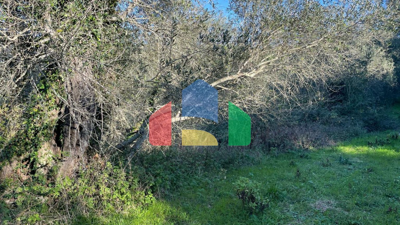 Продажа - Земельный участок 14529 m² на о. Корфу