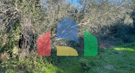 Продажа - Земельный участок 14529 m² на о. Корфу Продажа - Земельный участок 14529 m² на о. Корфу