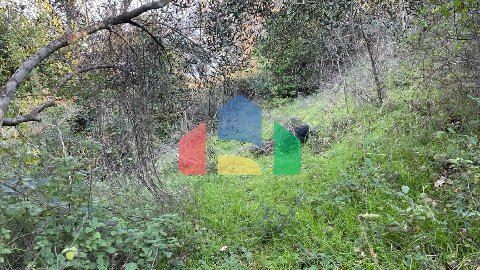 Продажа - Земельный участок 14529 m² на о. Корфу