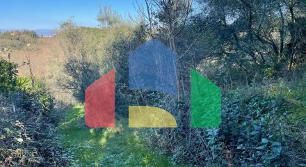 Продажа - Земельный участок 14529 m² на о. Корфу Продажа - Земельный участок 14529 m² на о. Корфу