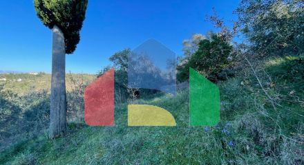 Продажа - Земельный участок 14529 m² на о. Корфу Продажа - Земельный участок 14529 m² на о. Корфу