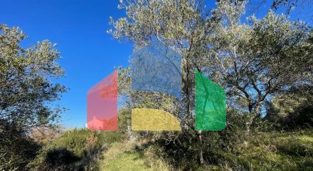 Продажа - Земельный участок 14529 m² на о. Корфу Продажа - Земельный участок 14529 m² на о. Корфу