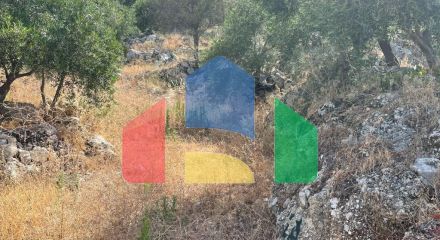 Продажа - Земельный участок 4800 m² на о. Корфу Продажа - Земельный участок 4800 m² на о. Корфу