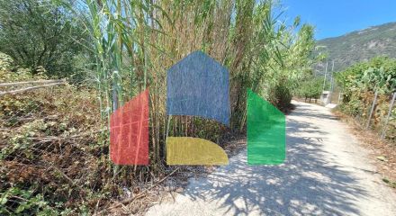 Продажа - Земельный участок 4683 m² на о. Корфу Продажа - Земельный участок 4683 m² на о. Корфу