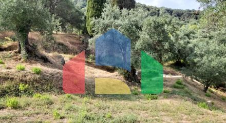 Продажа - Земельный участок 2120 m² на о. Корфу Продажа - Земельный участок 2120 m² на о. Корфу