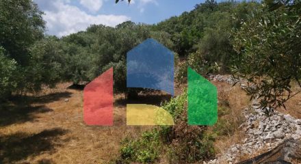 For Sale - Land 4400 m² in Corfu
