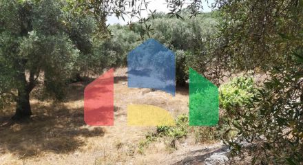 For Sale - Land 4400 m² in Corfu