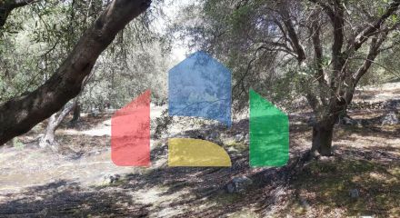 For Sale - Land 4400 m² in Corfu