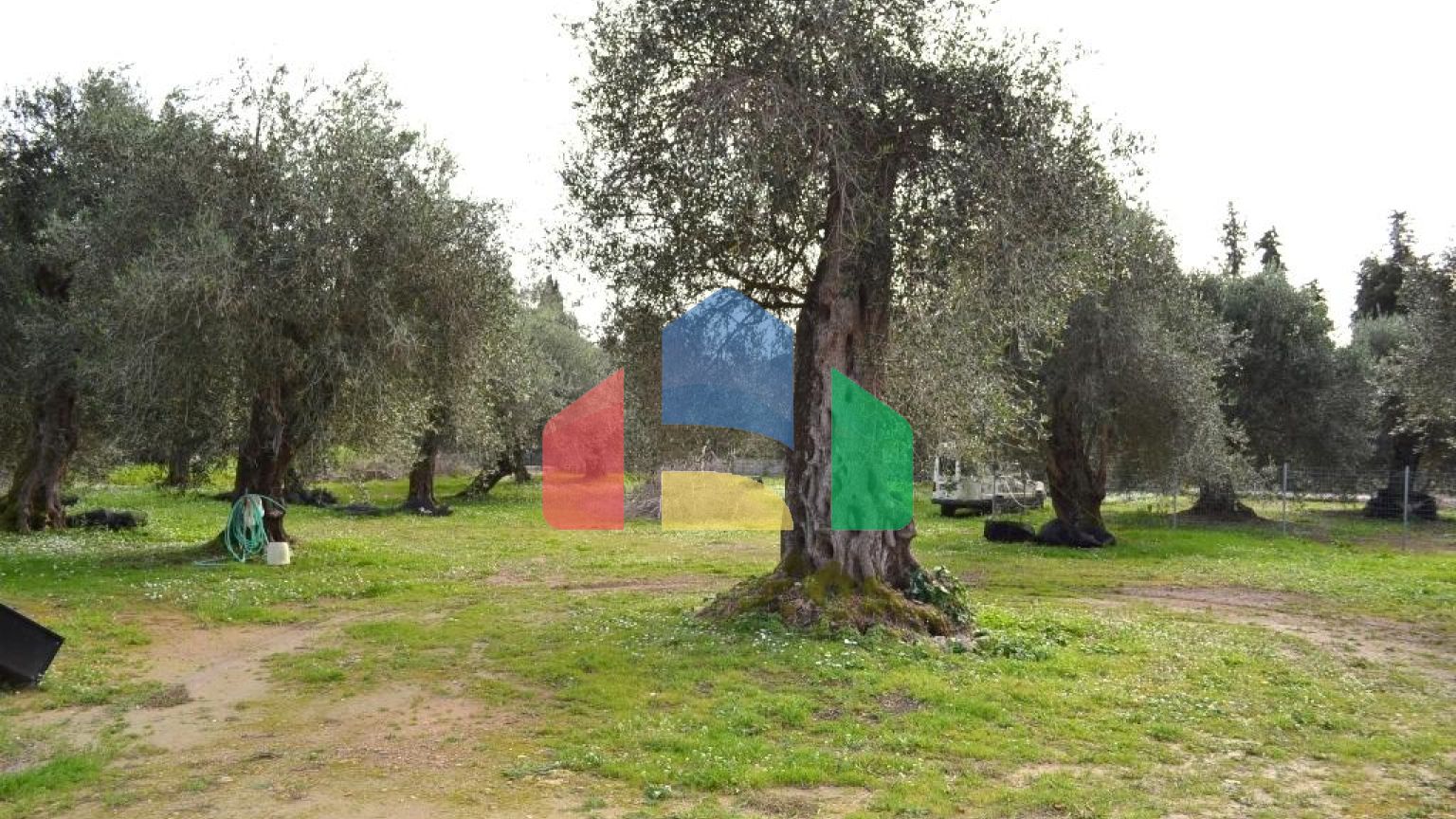 Продажа - Коттедж 125 m² на о. Корфу