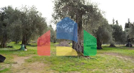 Продажа - Коттедж 125 m² на о. Корфу