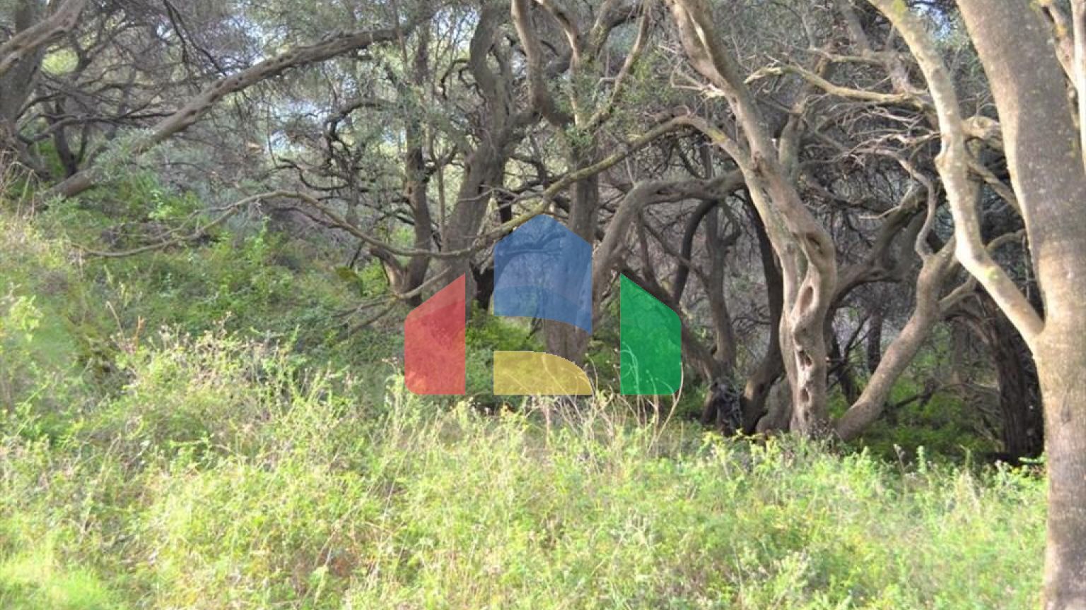 Продажа - Земельный участок 10959 m² на о. Корфу