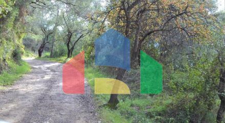 Продажа - Земельный участок 10959 m² на о. Корфу Продажа - Земельный участок 10959 m² на о. Корфу