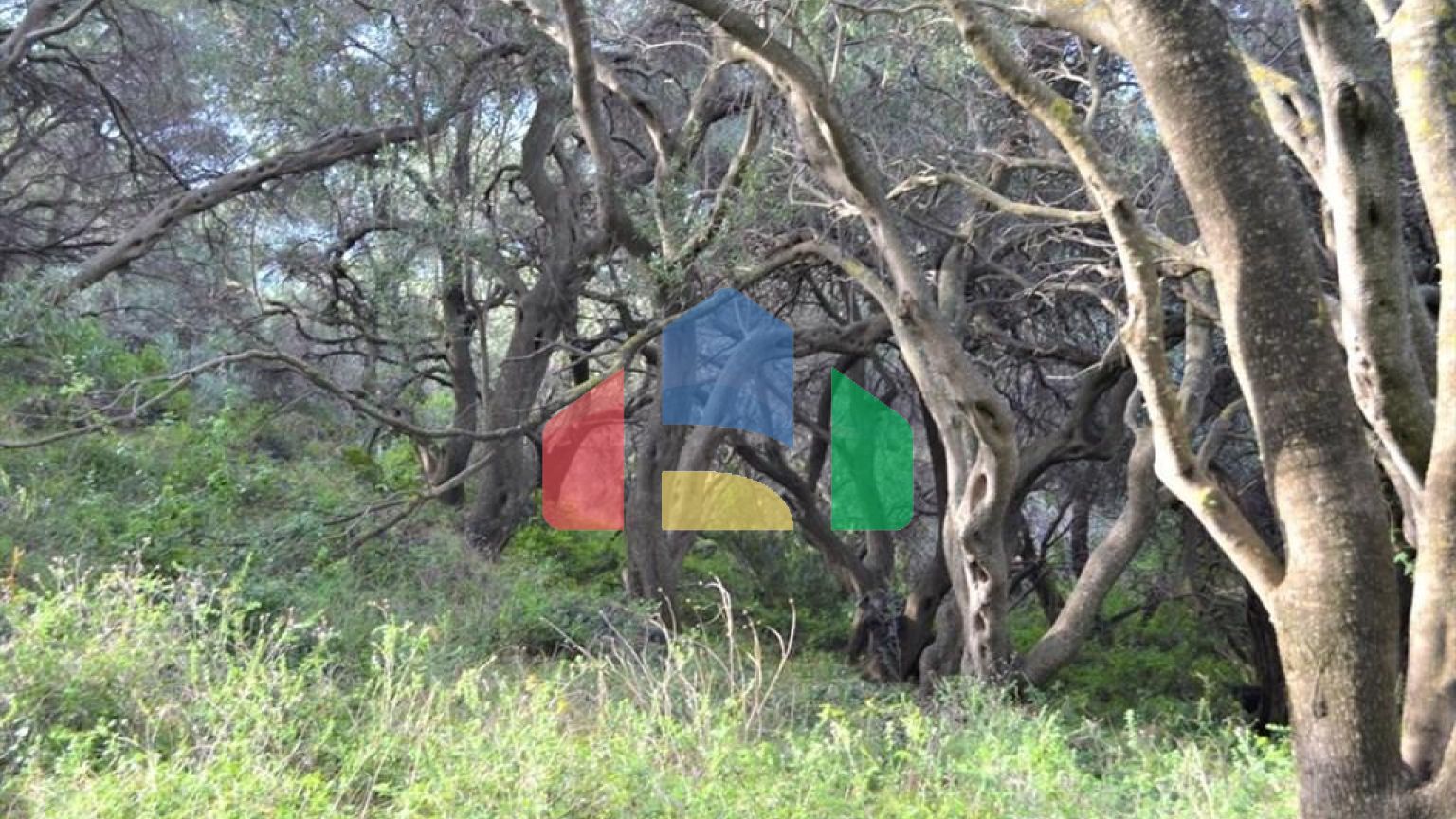 Продажа - Земельный участок 10959 m² на о. Корфу