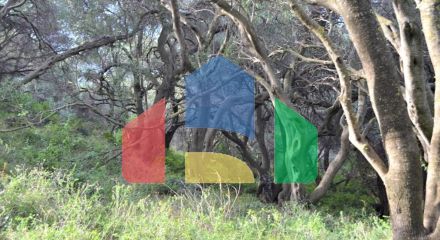 Продажа - Земельный участок 10959 m² на о. Корфу Продажа - Земельный участок 10959 m² на о. Корфу