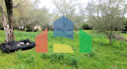 Продажа - Земельный участок 4216 m² на о. Корфу