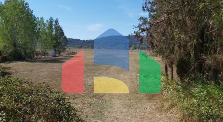 Продажа - Земельный участок 60000 m² на о. Корфу Продажа - Земельный участок 60000 m² на о. Корфу