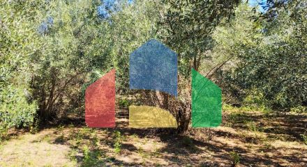 For Sale - Land 2200 m² in Corfu