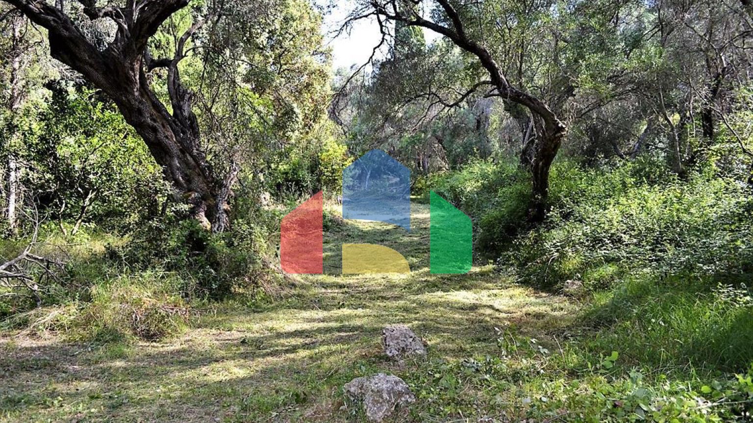 Продажа - Земельный участок 33000 m² на о. Корфу