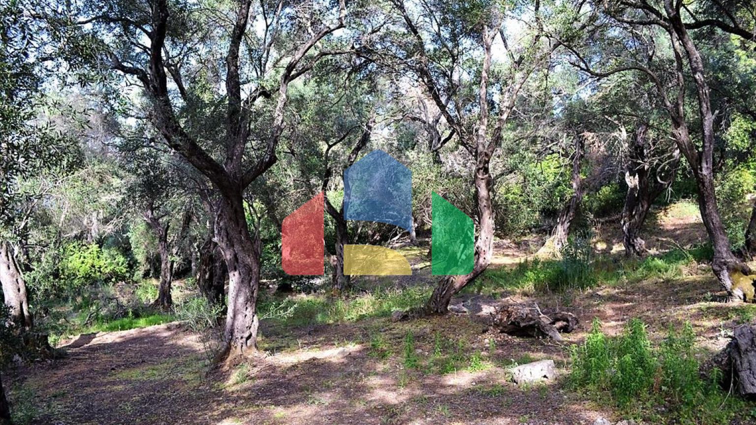 Продажа - Земельный участок 33000 m² на о. Корфу