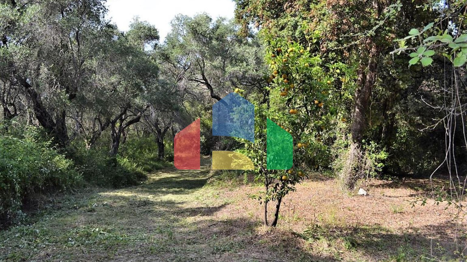 Продажа - Земельный участок 33000 m² на о. Корфу