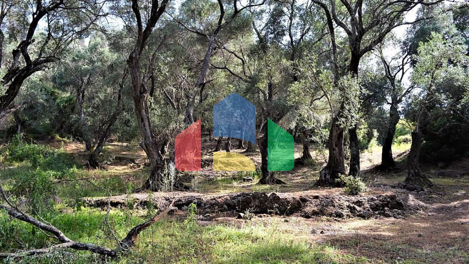 Продажа - Земельный участок 33000 m² на о. Корфу