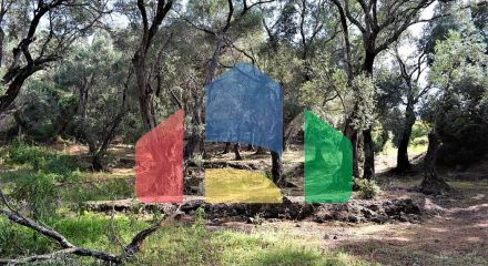 Продажа - Земельный участок 33000 m² на о. Корфу Продажа - Земельный участок 33000 m² на о. Корфу