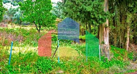 For Sale - Land 4300 m² in Corfu
