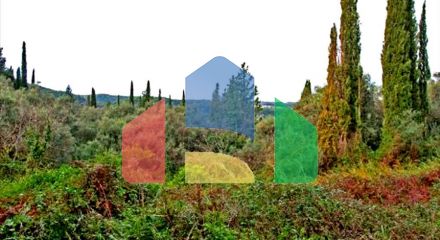 For Sale - Land 4300 m² in Corfu