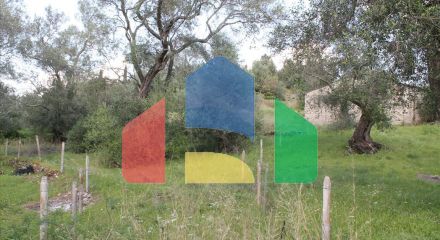 For Sale - Land 4300 m² in Corfu