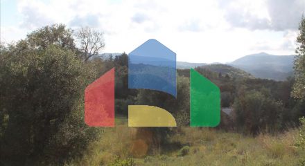 For Sale - Land 4300 m² in Corfu