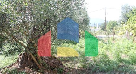 For Sale - Land 650 m² in Corfu